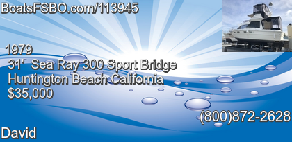 Sea Ray 300 Sport Bridge